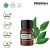 2ML GS 